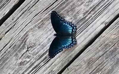 The Anti-Zen: How NOT To Meditate