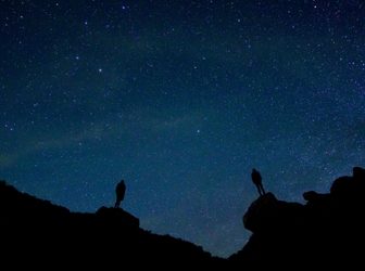 My Spirit Guides Are Funny Sci-Fi Nerds