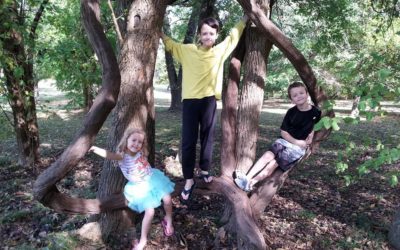 Do We Need Interest Based Schools?