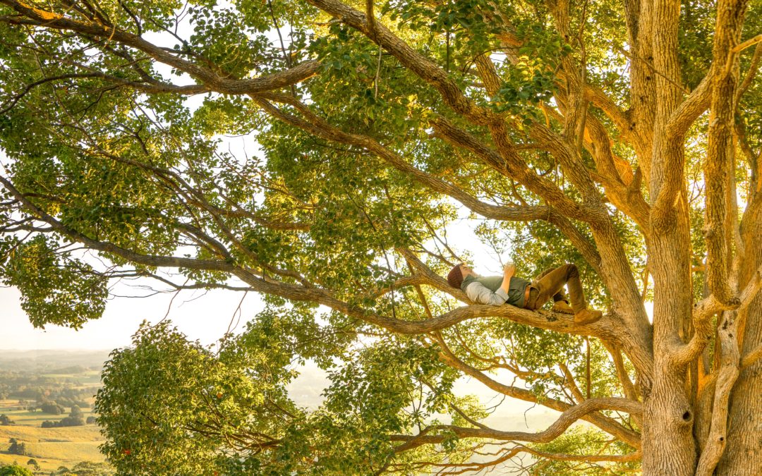 man relaxing in tree