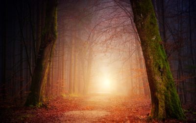 Free Patreon Q&A Viewing This Month