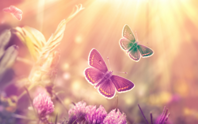 Channeled: Creating More Positive Polarity