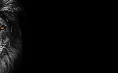 Channeled: Lion’s Gate Message 8/8 Increased Positive Polarity With Permanent Removal of Some Negative