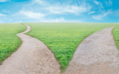 Channeled: Changing The Path of Humanity