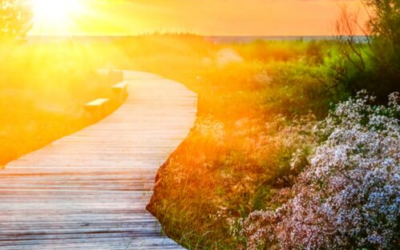 Channeled: Your Path to 5D