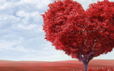 Channeled: Peripheral Accomplishments