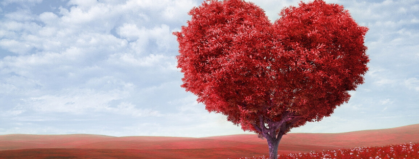 Heart tree Header