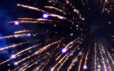 Now Comes The Fun Part – Channeled (Arcturians)