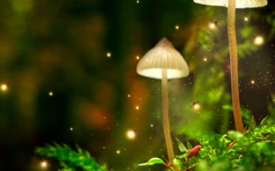 Channeled: Using The New Energies