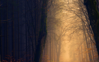 Channeled: The Other Side Of This Transition