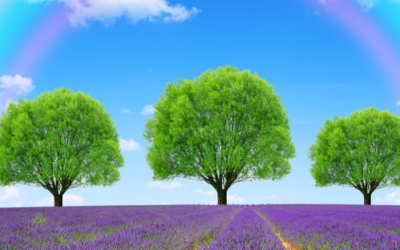 Channeling: Your Ability To Love