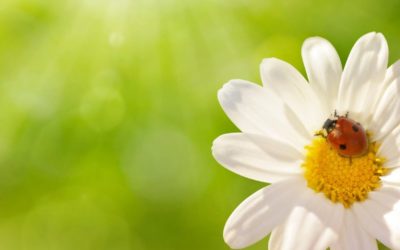 Channeled: Focus Forward In Love