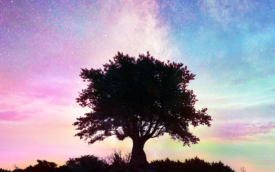 Change a Thought, Change Your Existence (Arcturian Story Time)