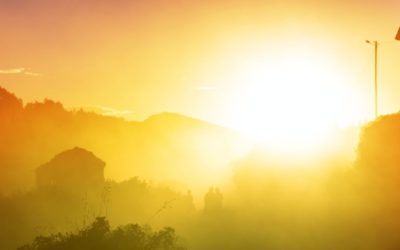 Channeled: The World Of Many Joyful Things
