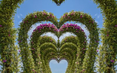 Creating Your New World (Conversation with my Guides)