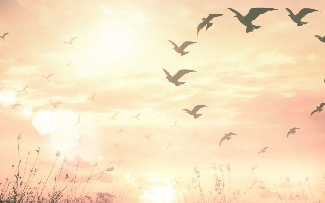 The Great Purging of Fear (Channeled)