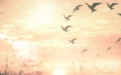 The Great Purging of Fear (Channeled)