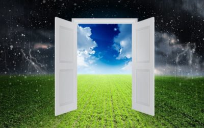 Converting Opinions to Inputs (Channeled)