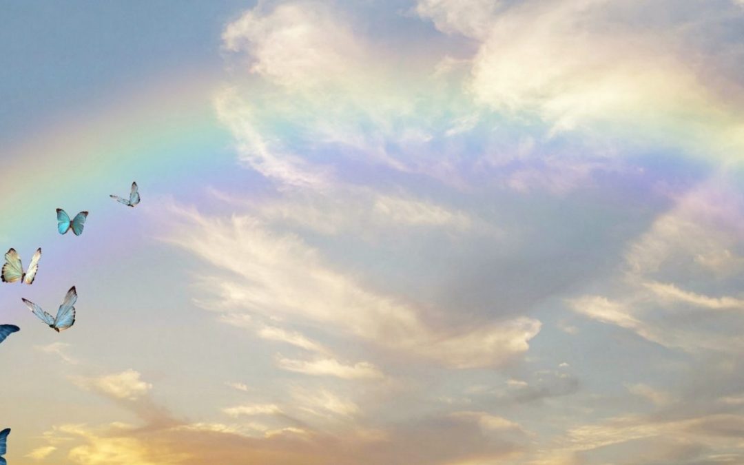 A rainbow and butterflies represent some of the signs you may have in your life path