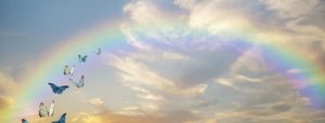 A rainbow and butterflies represent some of the signs you may have in your life path