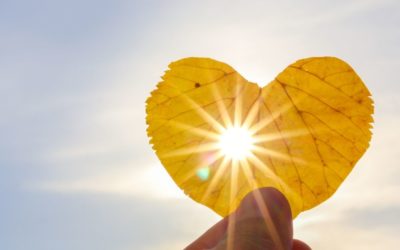 A More Effective Way To Be Of Service (Channeled)