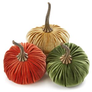 Velvet pumpkins