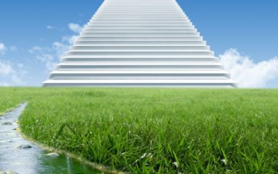 Transition Into Your Next Steps (Channeled)