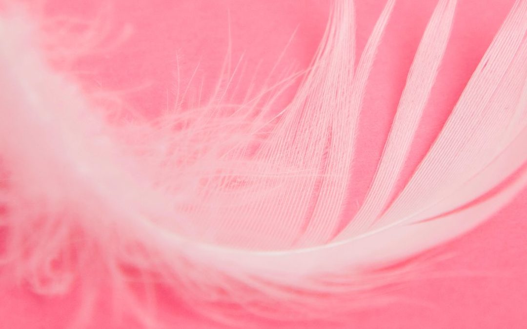 white feather on pink background representing lighter density